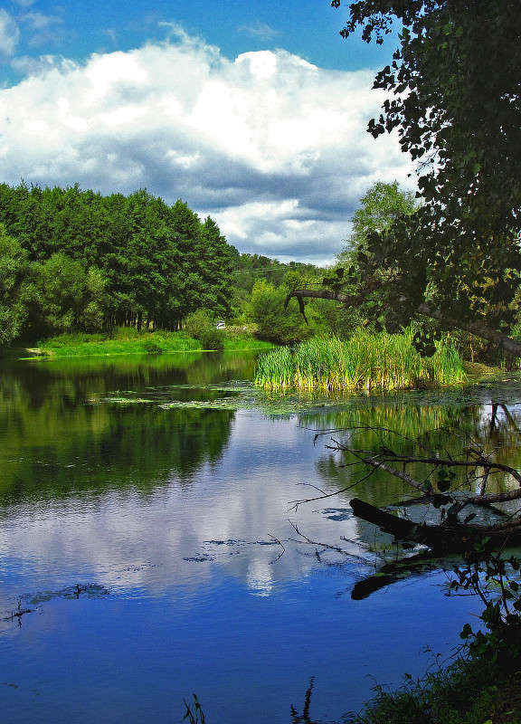 �� ���� ����� ���� ������ �� PhotoGeek.ru #������ ��� ������� #�������