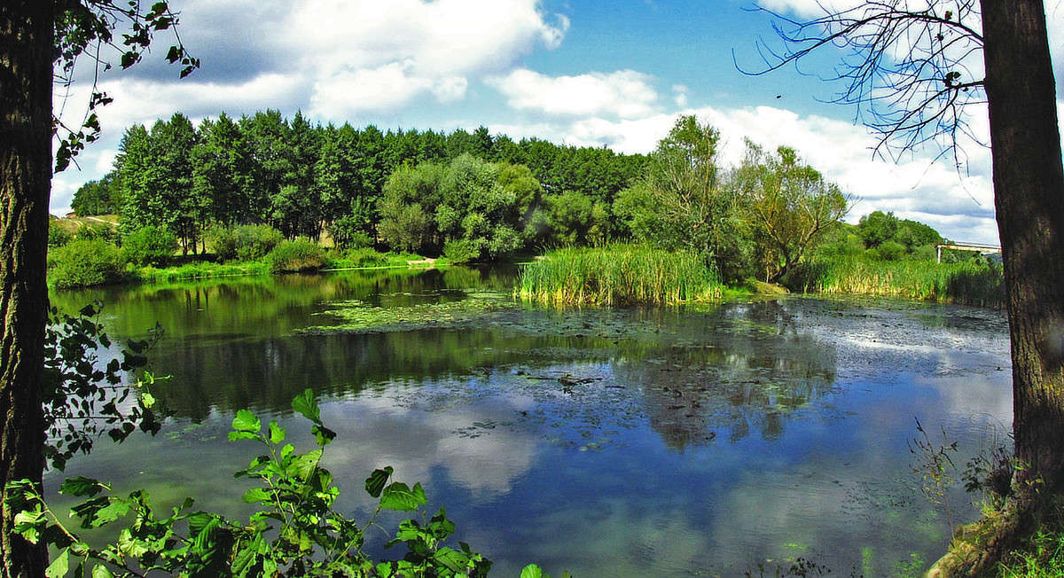 ������ ����� ���� ������ �� PhotoGeek.ru #������ ��� ������� #������