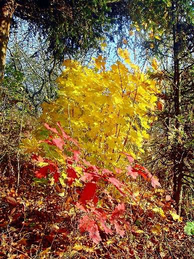 ������� ����� ����� ���� ������ �� PhotoGeek.ru #������ ��� ������� #�������