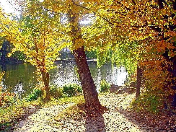 ������� ������ ����� ���� ������ �� PhotoGeek.ru #������ ��� ������� #�������