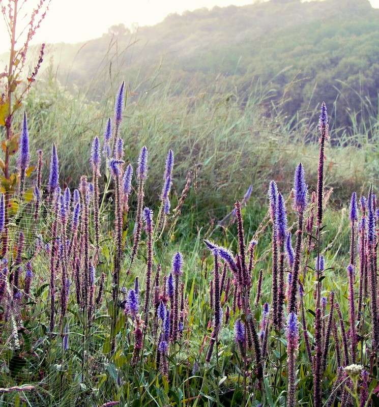 ����� ����� ���� ������ �� PhotoGeek.ru #������ ��� ������� #�������