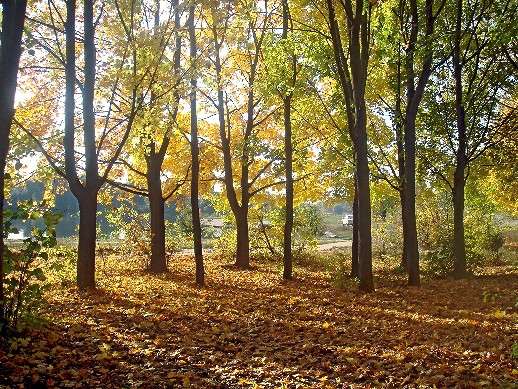 ����� ����� ���� ������ �� PhotoGeek.ru #������ ��� ������� #�������