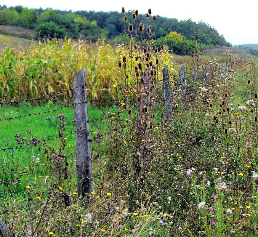 ����� ����� ���� ������ �� PhotoGeek.ru #������ ��� �������