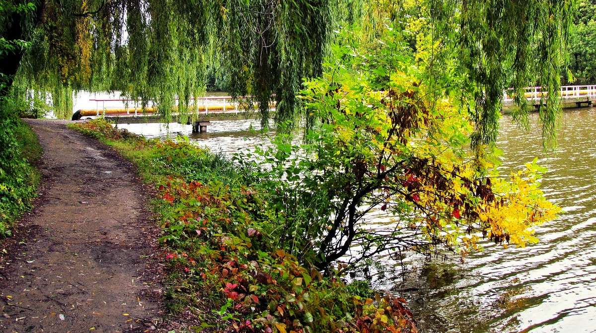 ������ ����� ����� ���� ������ �� PhotoGeek.ru #������ ��� �������