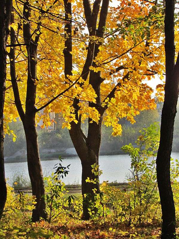 ������ ����� ����� ���� ������ �� PhotoGeek.ru #������ ��� �������