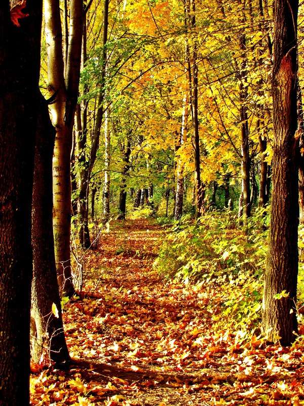 ����� ����� ���� ������ �� PhotoGeek.ru #������ ��� �������