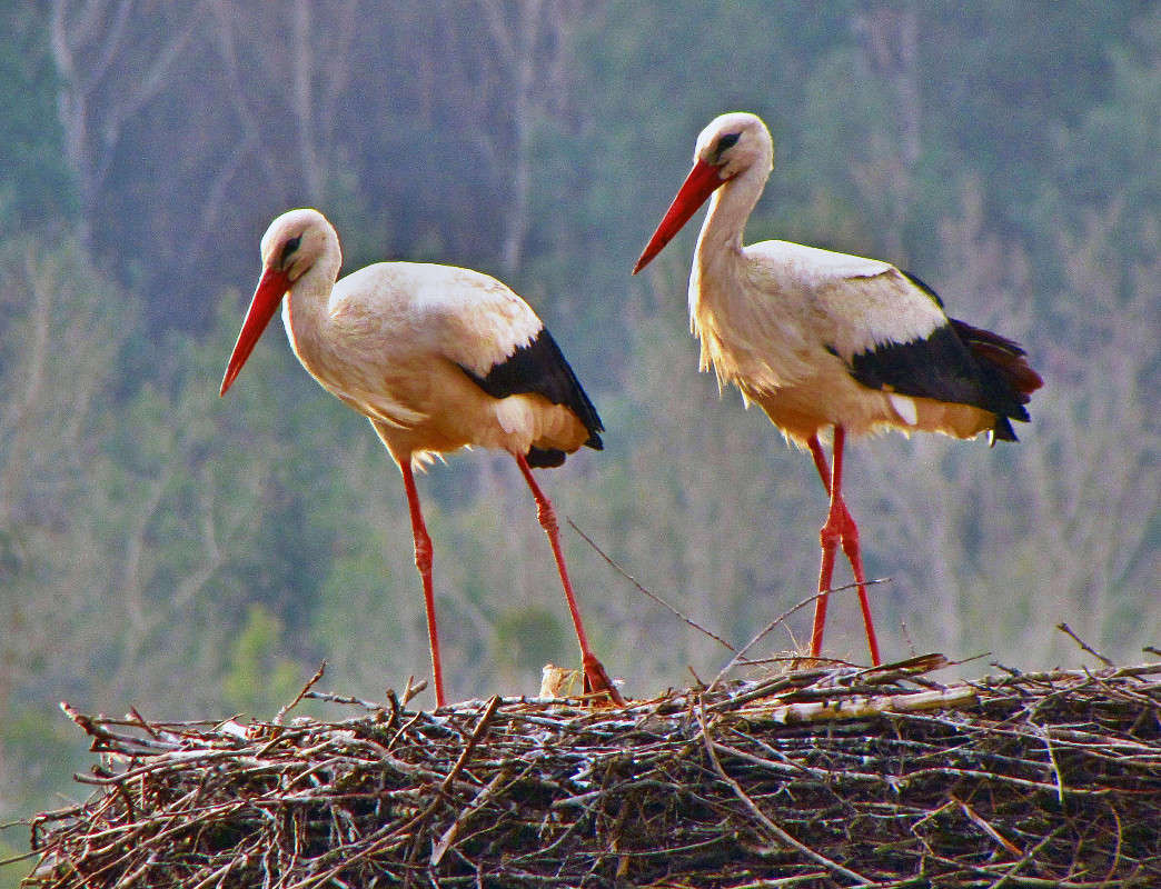 ����� ����� ���� ������ �� PhotoGeek.ru #������ ��� �������