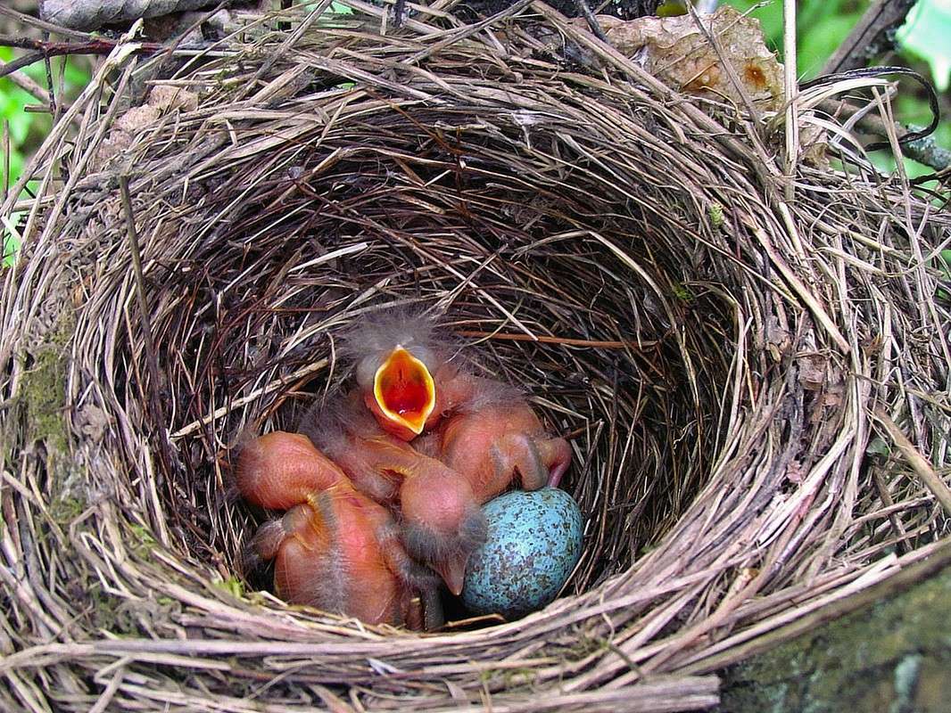 ���� ����... ����� ���� ������ �� PhotoGeek.ru #������ ��� �������