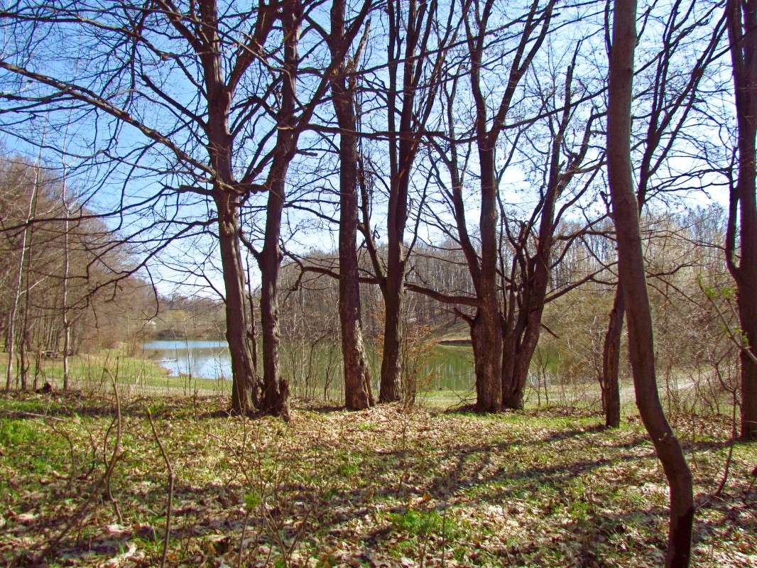 ... ����� ���� ������ �� PhotoGeek.ru #������ ��� �������