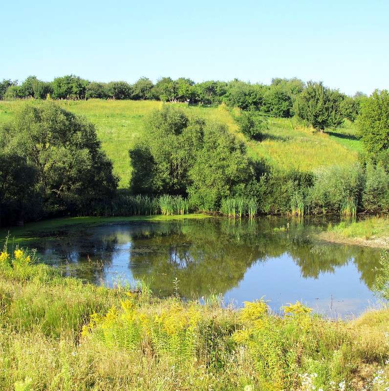 ����� ����� ���� ������ �� PhotoGeek.ru #������ ��� �������