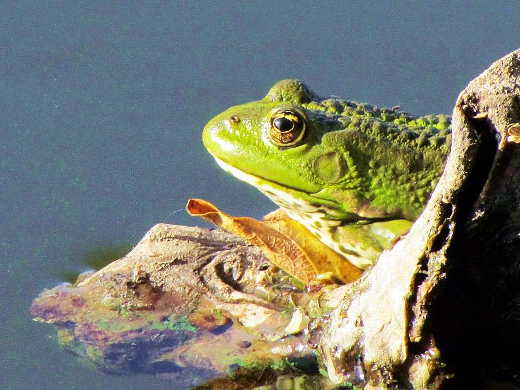 ������� ����� ���� ������ �� PhotoGeek.ru #�������� ����������