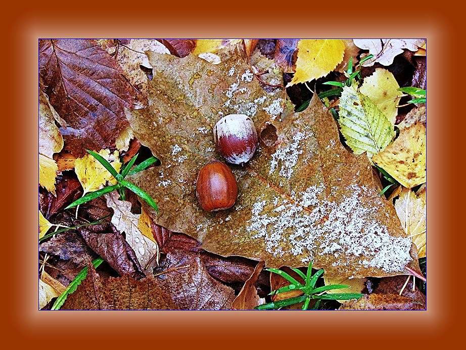 ������ ��������� ����� ���� ������ �� PhotoGeek.ru #�������� ���������� #������