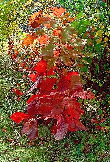 �������... ����� ���� ������ �� PhotoGeek.ru #������ ��� �������