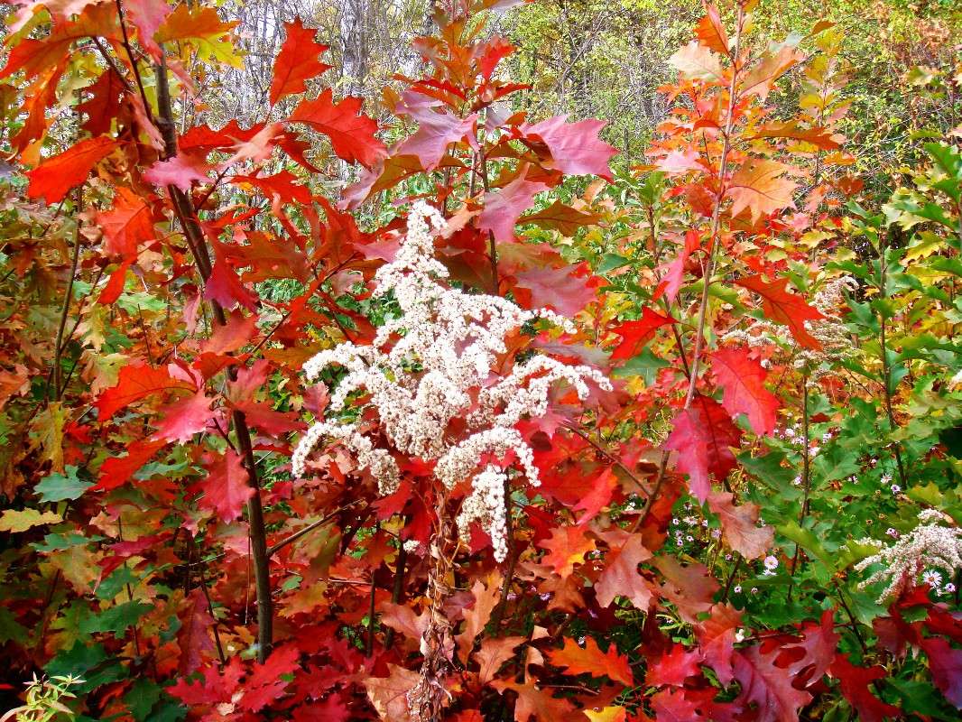 ������ ����� ����� ���� ������ �� PhotoGeek.ru #������ ��� �������