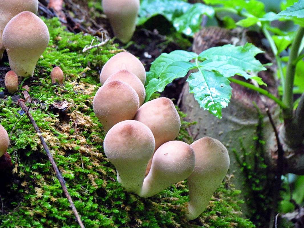 ����� ����� ���� ������ �� PhotoGeek.ru #������ ��� �������