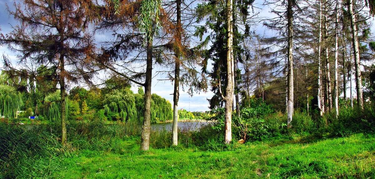 �����. ����� ���� ������ �� PhotoGeek.ru #������ ��� �������