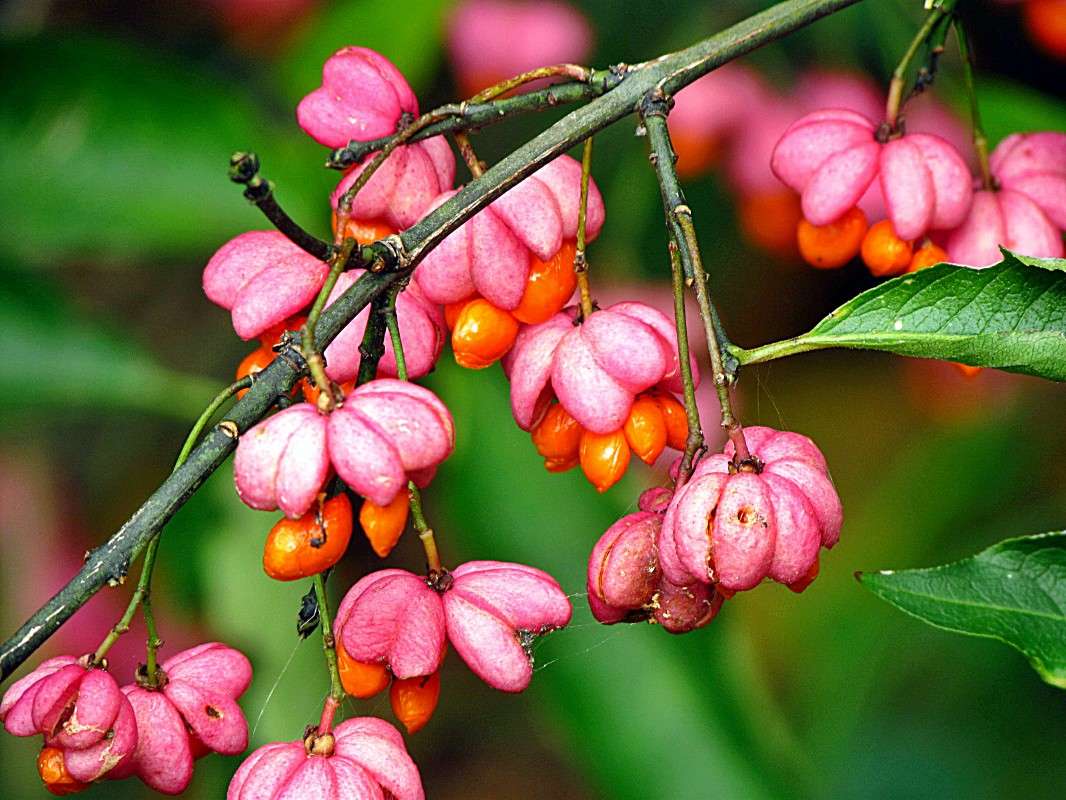 ����� ����� ����� ���� ������ �� PhotoGeek.ru #������ ��� �������