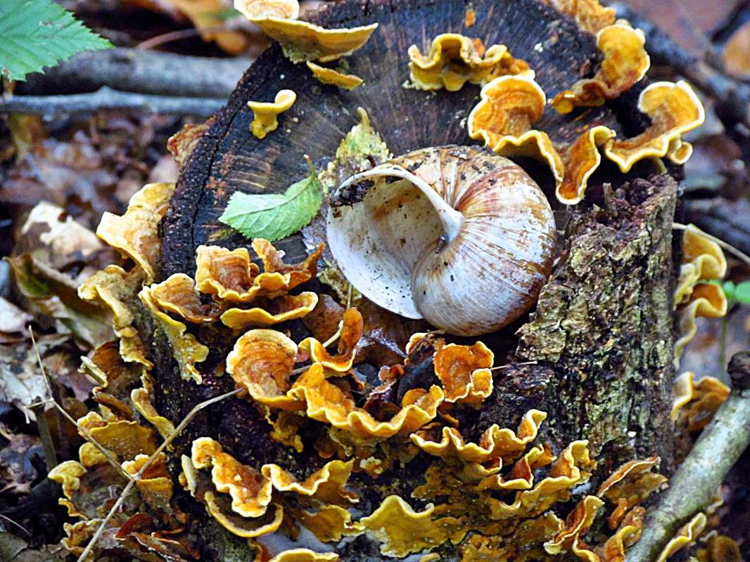 ��������� ��������� ����� ���� ������ �� PhotoGeek.ru #�������� ����������