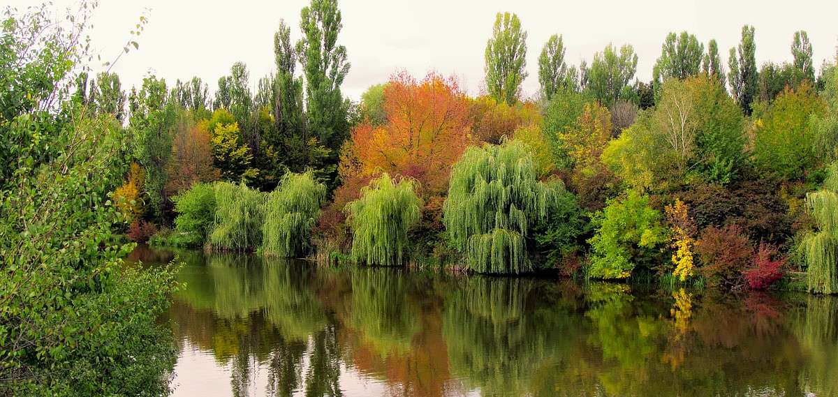 ������ ����� ���� ������ �� PhotoGeek.ru #������ ��� �������