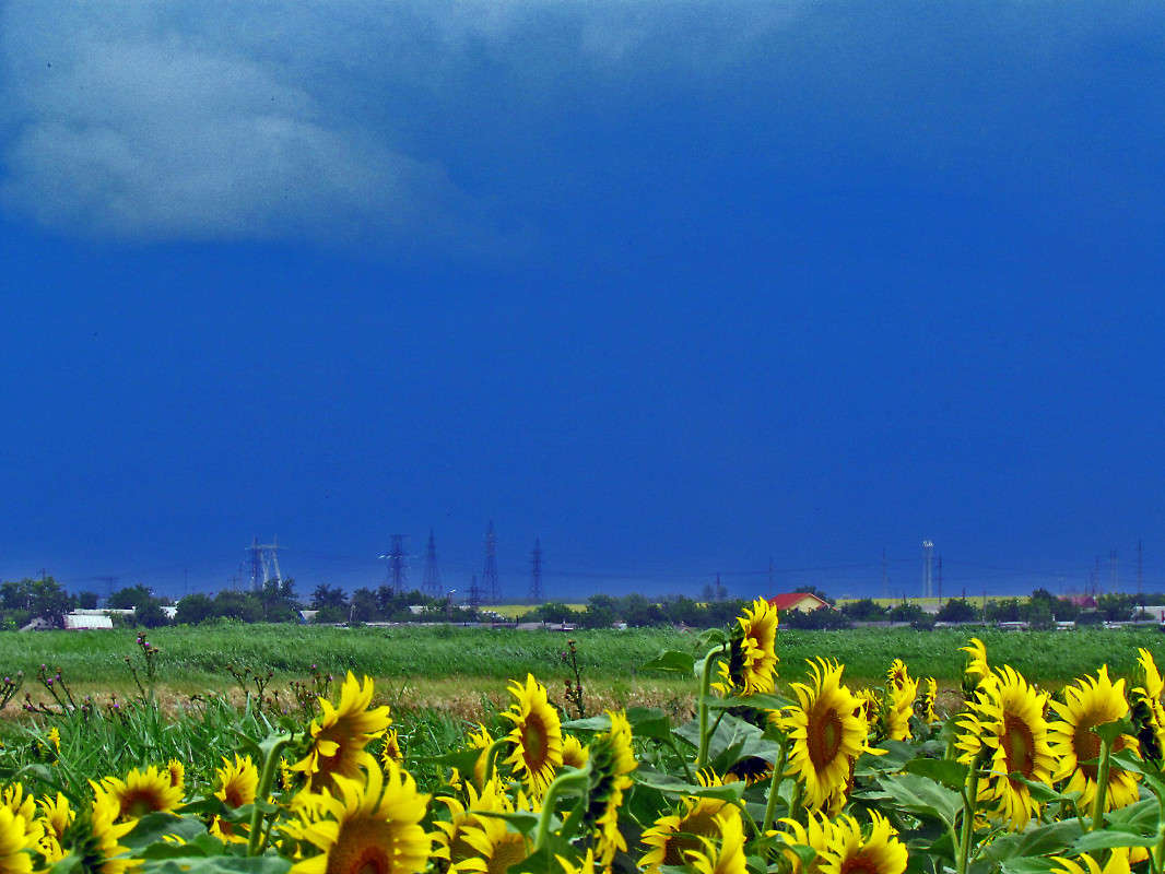 ����� ����� ����� ���� ������ �� PhotoGeek.ru #������ ��� �������