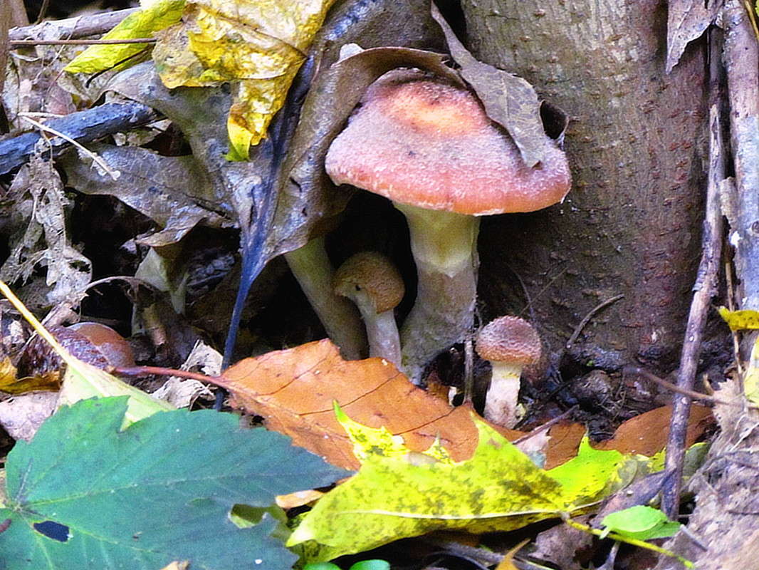 ����� ����� ���� ������ �� PhotoGeek.ru #������ ��� �������