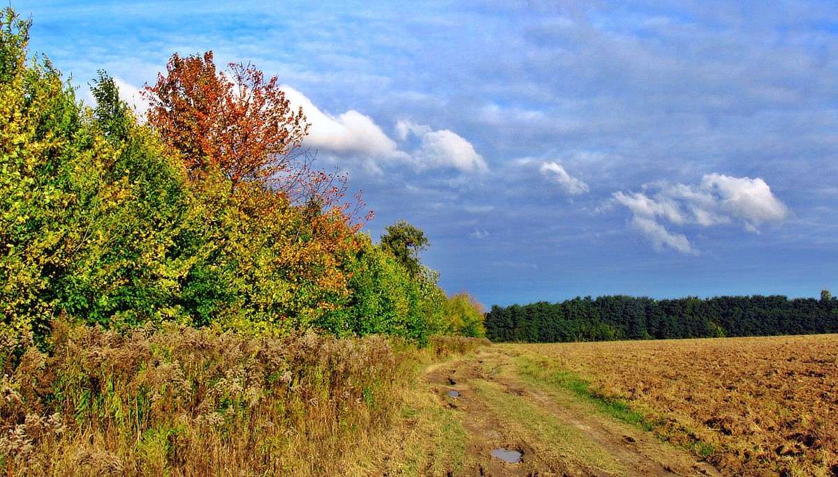 ������� ������ ����� ���� ������ �� PhotoGeek.ru #������ ��� �������