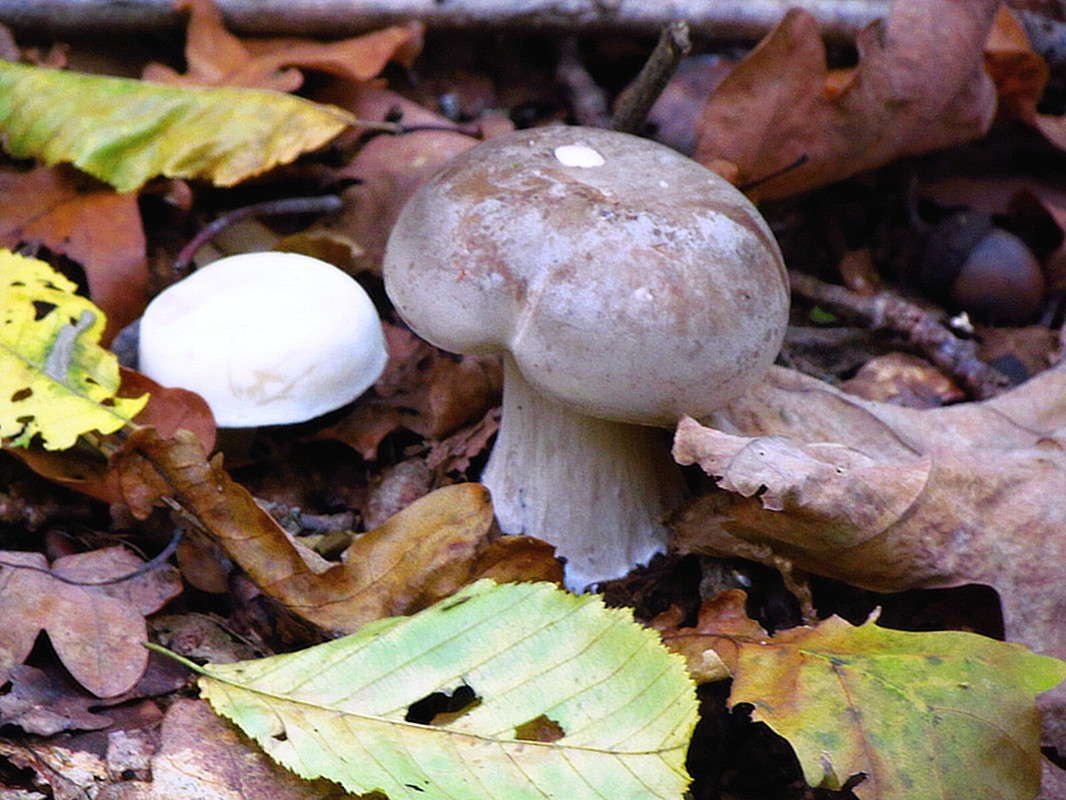 ��������� ����� ����� ����� ���� ������ �� PhotoGeek.ru #������ ��� �������