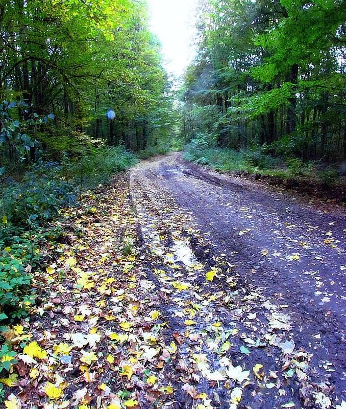 ������� ������ ����� ���� ������ �� PhotoGeek.ru #������ ��� �������