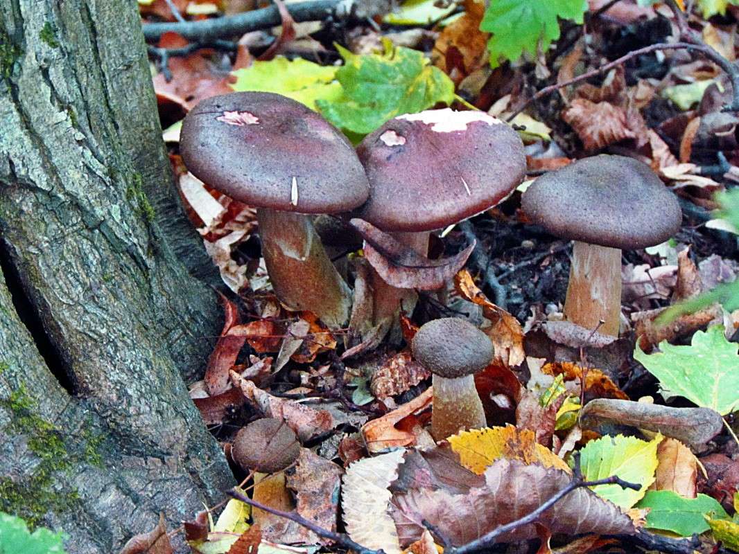 ����� � ������� ���� ����� ���� ������ �� PhotoGeek.ru #������ ��� �������