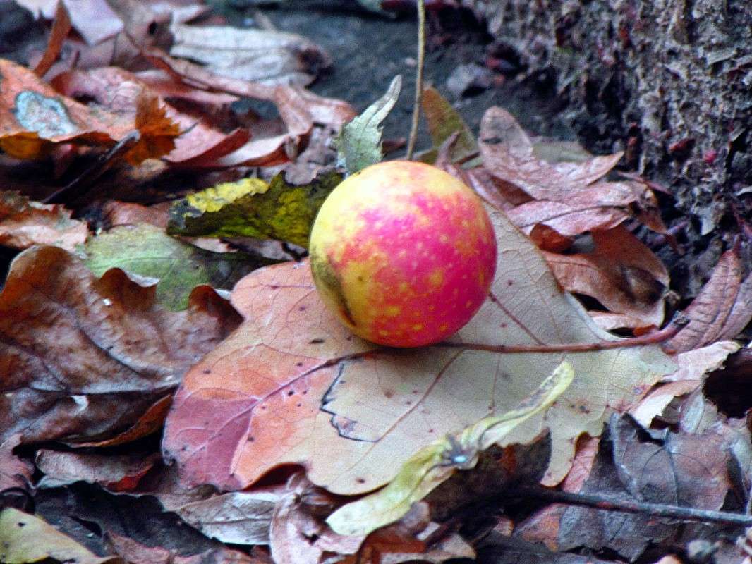 ����� ����� ���� ������ �� PhotoGeek.ru #������ ��� �������