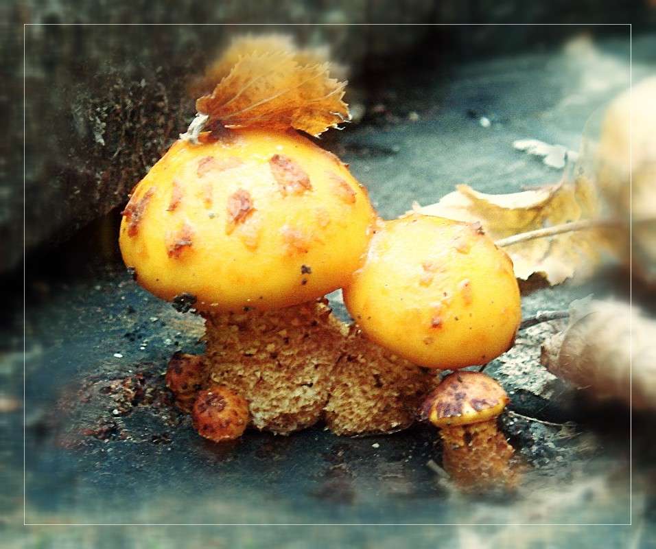 �������� ����� ���� ������ �� PhotoGeek.ru #������ ��� �������