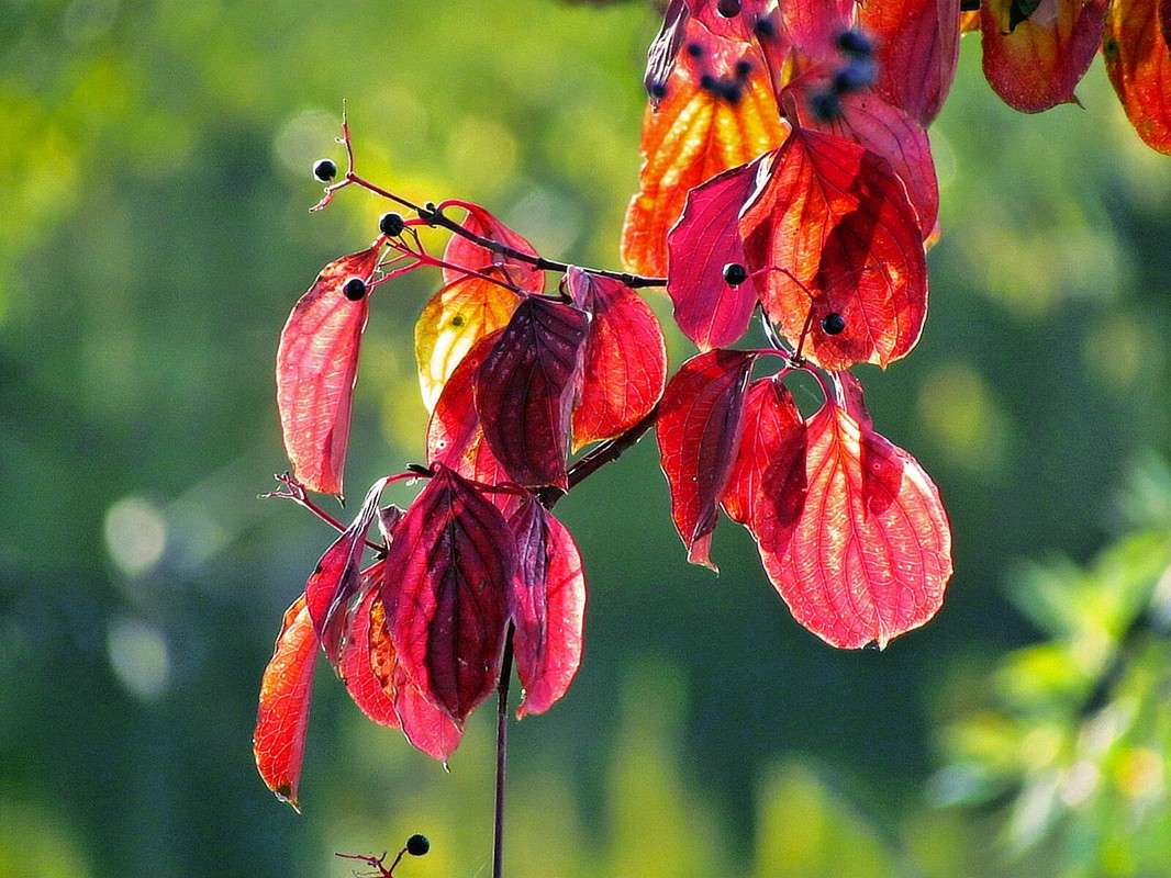 �����.������.������. ����� ���� ������ �� PhotoGeek.ru #������ ��� �������