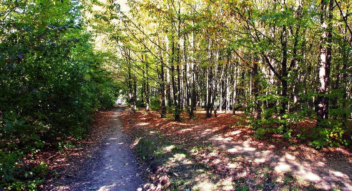 ������ ����� ���� ������ �� PhotoGeek.ru #������ ��� �������