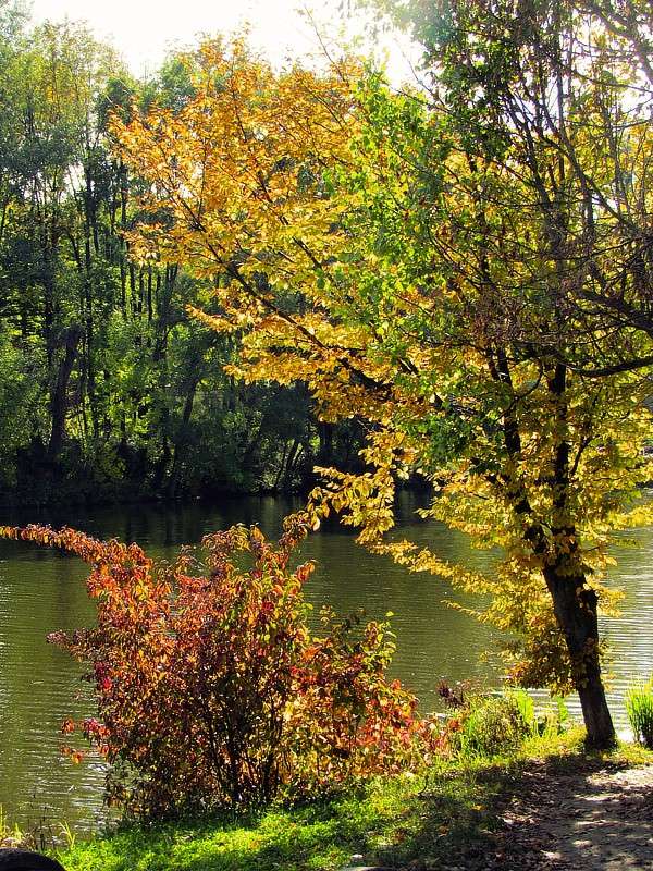 �� ������ ����� ���� ������ �� PhotoGeek.ru #������ ��� ������� #�����