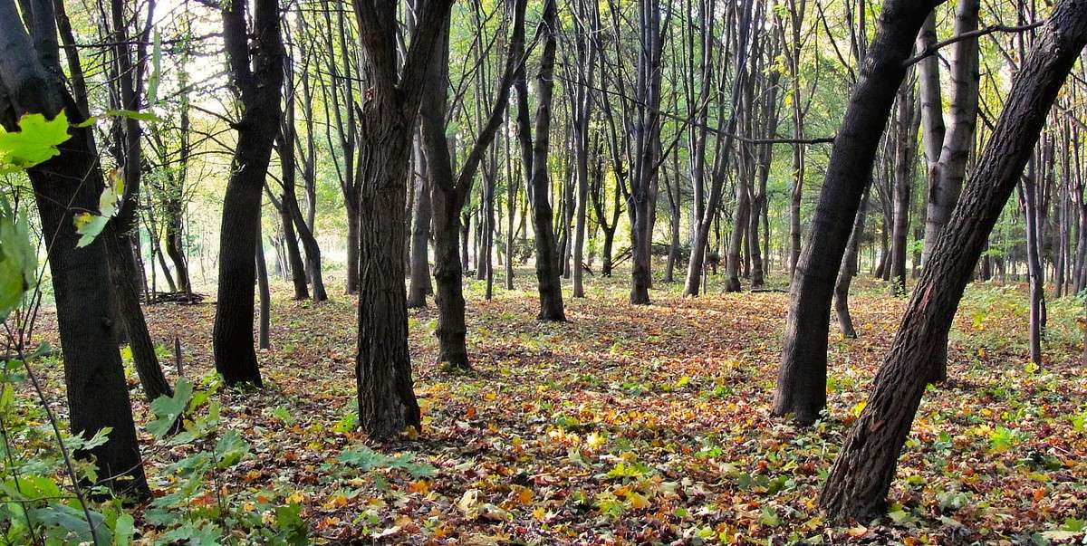 ������ ����� ���� ������ �� PhotoGeek.ru #������ ��� �������