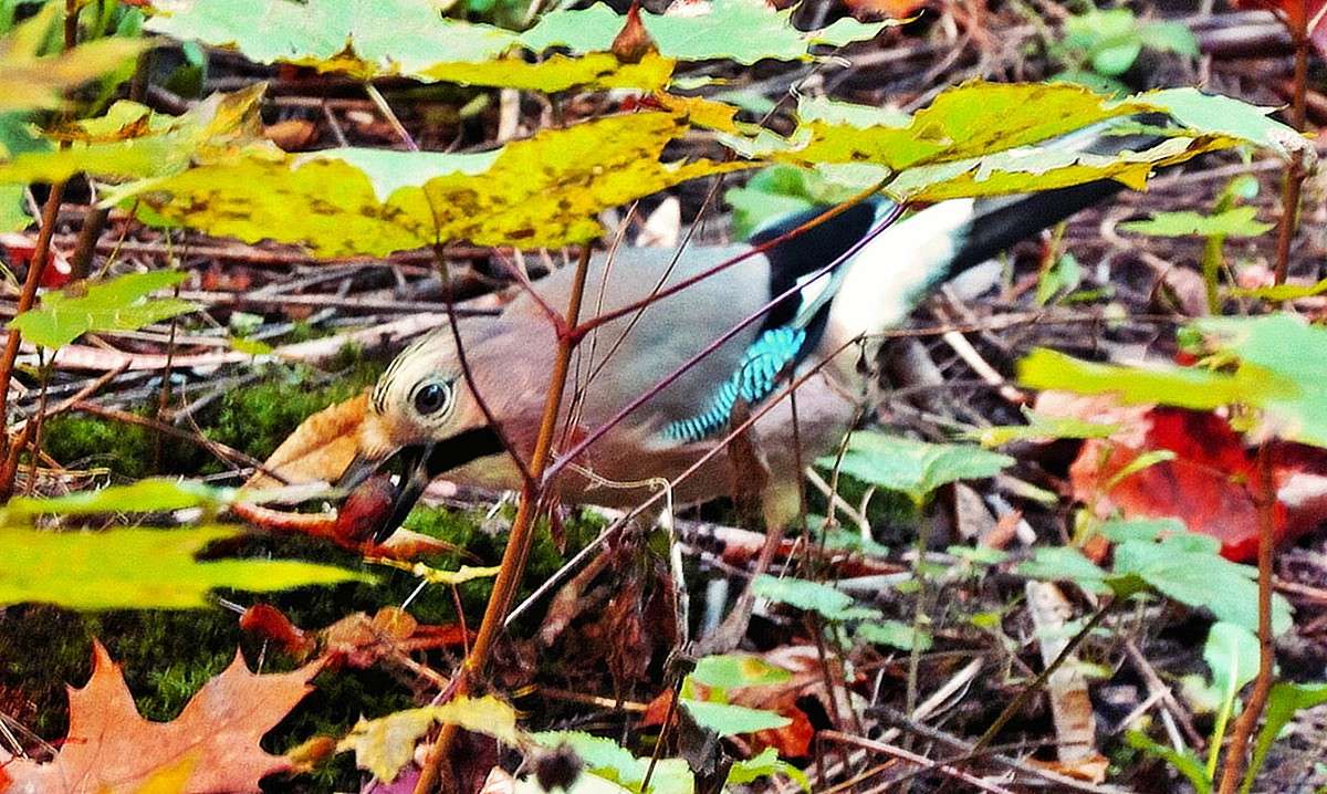 ����� ����� ���� ������ �� PhotoGeek.ru #�������� ����������