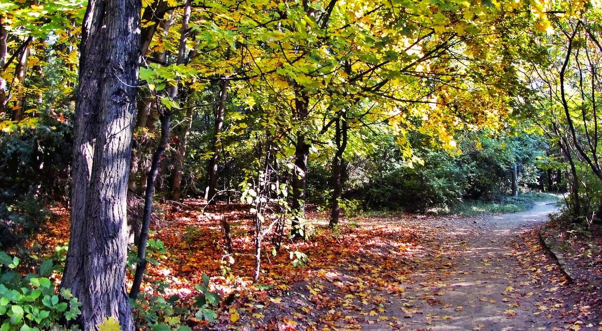 � ����� ����� ���� ������ �� PhotoGeek.ru #������ ��� �������