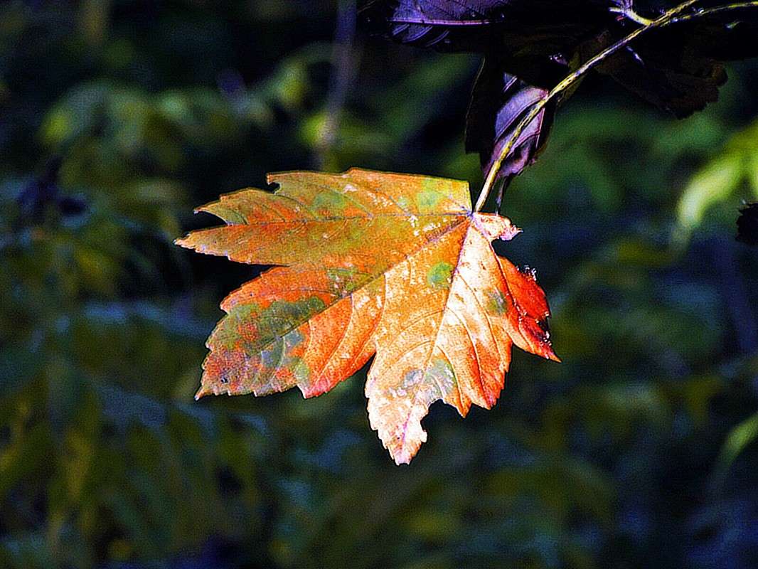 ���� ����� ����� ���� ������ �� PhotoGeek.ru #������ ��� �������