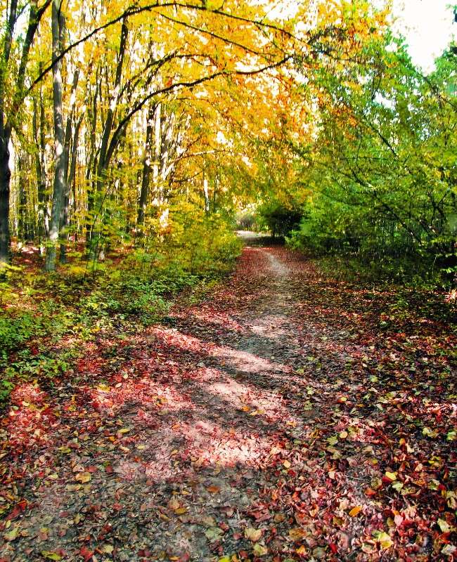 ������� ����� ����� ���� ������ �� PhotoGeek.ru #������ ��� �������