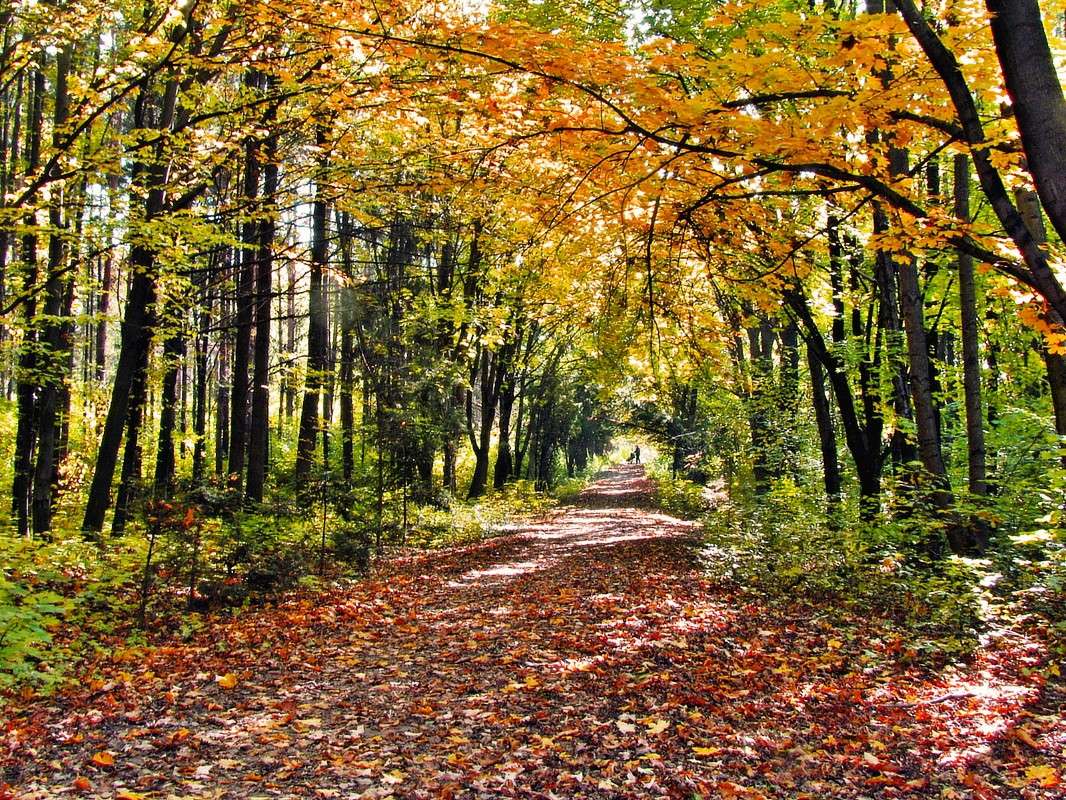 � ������� ����� ����� ���� ������ �� PhotoGeek.ru #������ ��� �������