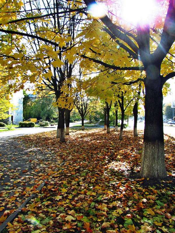 �����.������. ����� ���� ������ �� PhotoGeek.ru #������ ��� �������