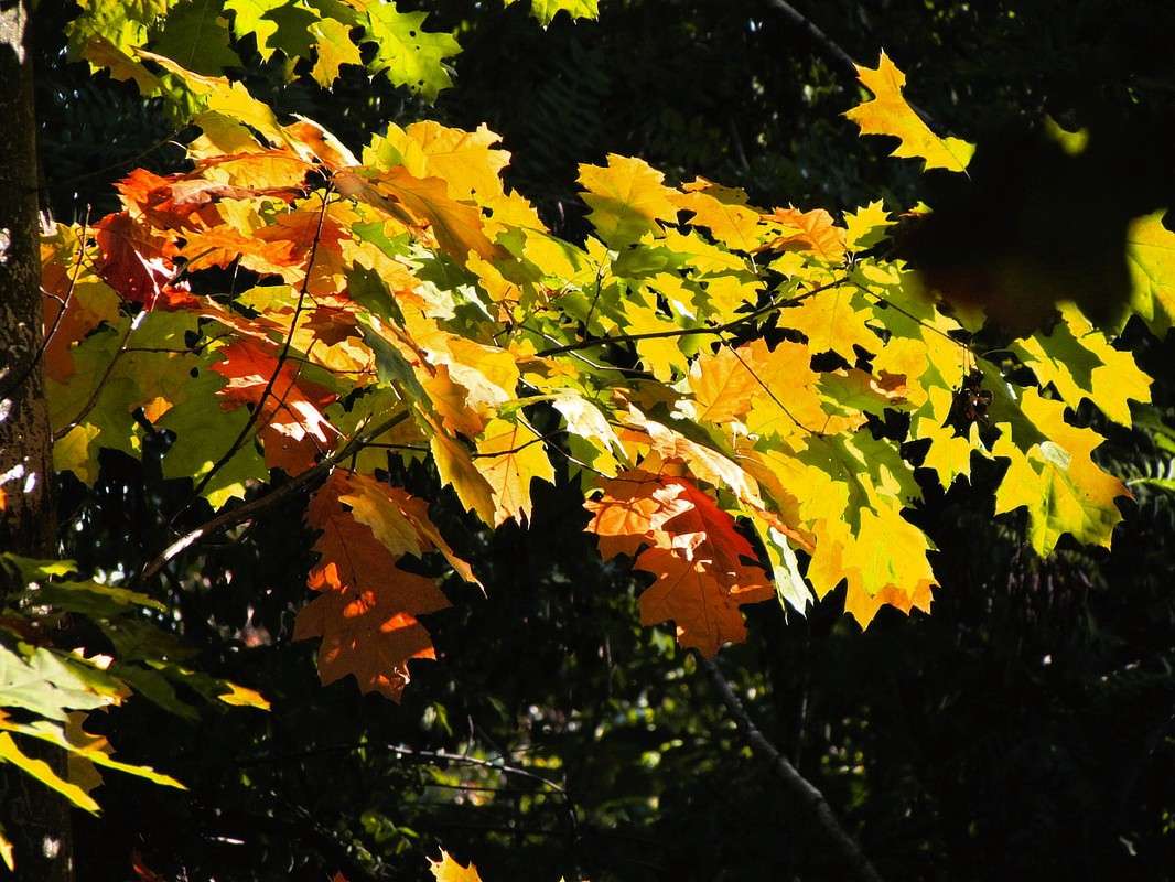 ������� ������ ����� ���� ������ �� PhotoGeek.ru #�������� ����������