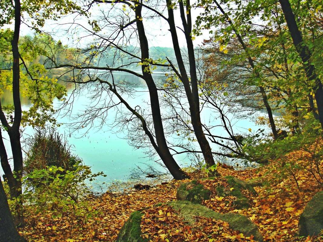 ������ ����� ����� ���� ������ �� PhotoGeek.ru #������ ��� �������