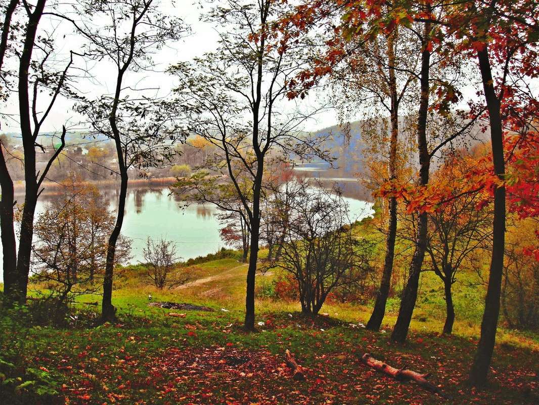 ���������� ����.... ����� ���� ������ �� PhotoGeek.ru #������ ��� �������