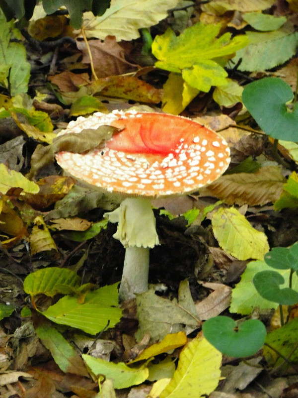 ������� ����� ���� ������ �� PhotoGeek.ru #������ ��� �������