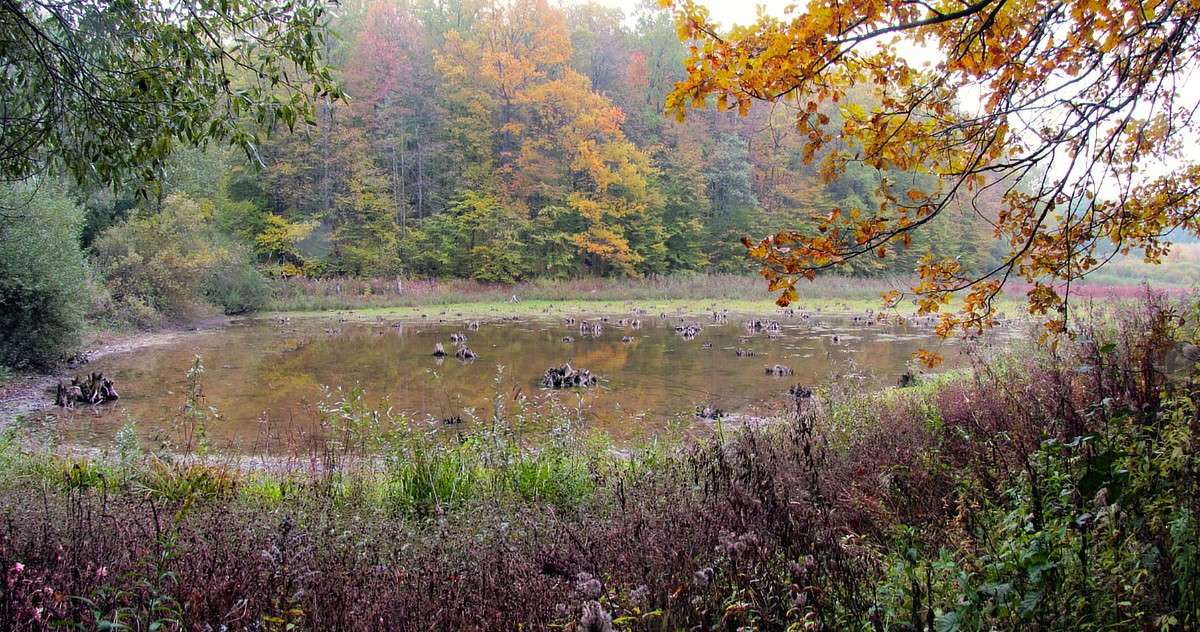 ������ ����� ����� ���� ������ �� PhotoGeek.ru #������ ��� �������