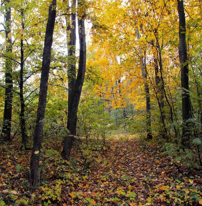 ������� ��� ����� ���� ������ �� PhotoGeek.ru #������ ��� �������