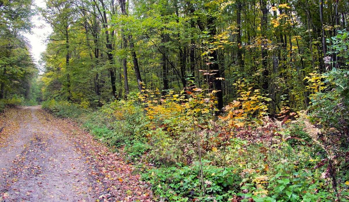 ������ ������ ����� ���� ������ �� PhotoGeek.ru #������ ��� �������