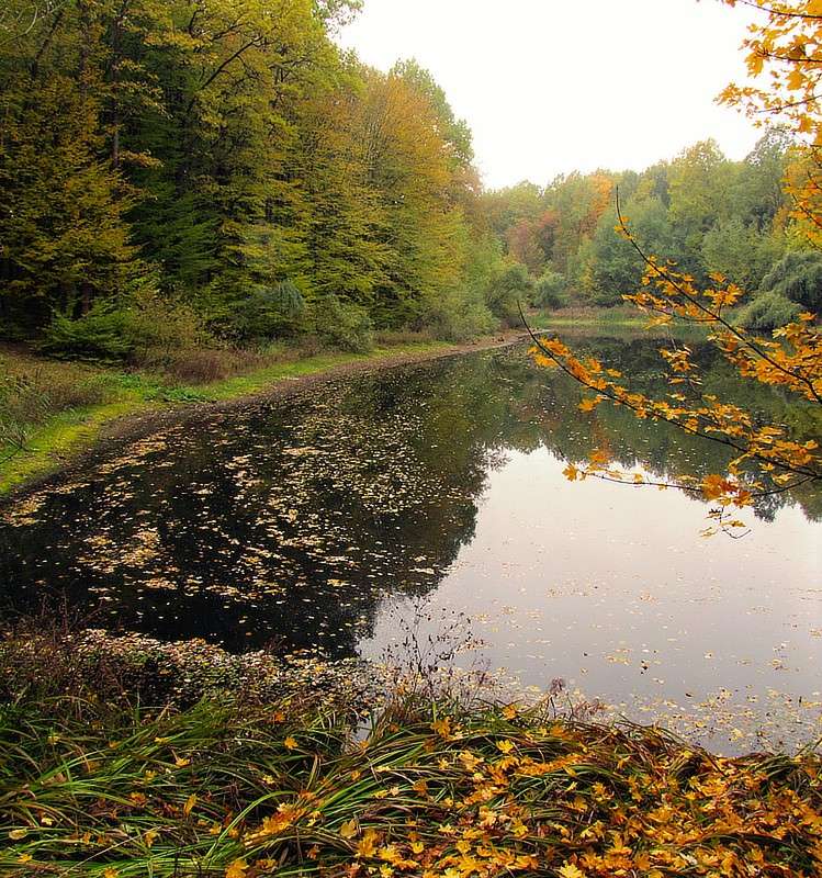 ������ ����� ����� ���� ������ �� PhotoGeek.ru #������ ��� �������