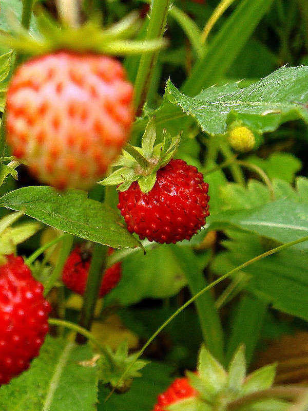 ��������� ����� ���� ������ �� PhotoGeek.ru #������ ��� �������